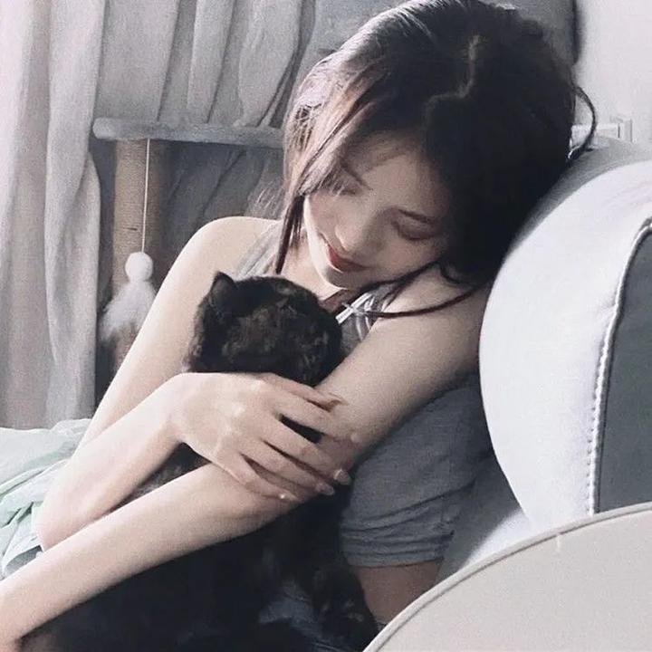 菜英文没在怕